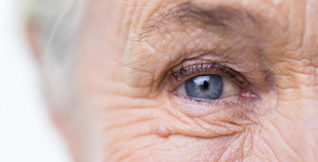 Зміни в прозорості кришталика, та як лікувати катаракту | Lviv Medical Center | Львів Медікал Центр | ЛМЦ