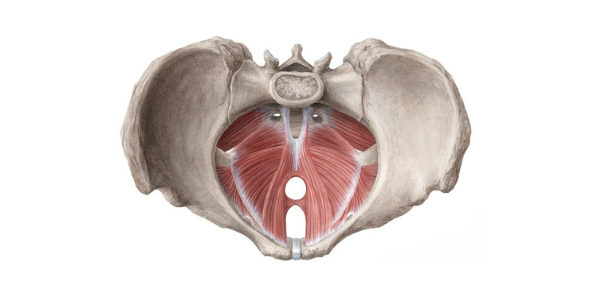 Головна | Lviv Medical Center | Львів Медікал Центр | ЛМЦ Головна | Lviv Medical Center | Львів Медікал Центр | ЛМЦ