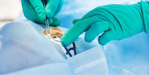 Вітреоретинальна хірургія | Lviv Medical Center | Львів Медікал Центр | ЛМЦ