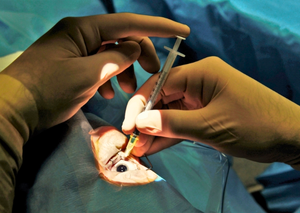 Фармакохірургія | Lviv Medical Center | Львів Медікал Центр | ЛМЦ