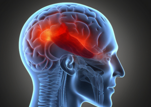 Неврологія | Lviv Medical Center | Львів Медікал Центр | ЛМЦ