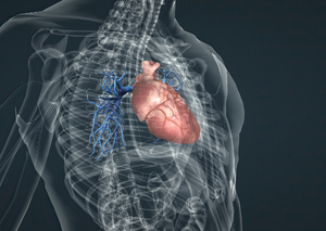 Комп’ютерна томографія | Lviv Medical Center | Львів Медікал Центр | ЛМЦ