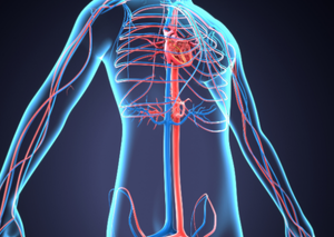 Комп’ютерна томографія | Lviv Medical Center | Львів Медікал Центр | ЛМЦ