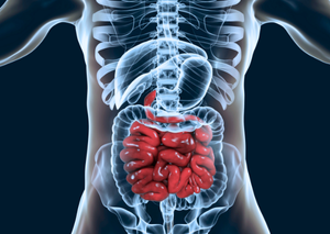 Комп’ютерна томографія | Lviv Medical Center | Львів Медікал Центр | ЛМЦ