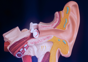 Комп’ютерна томографія | Lviv Medical Center | Львів Медікал Центр | ЛМЦ