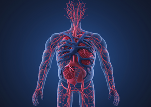 Комп’ютерна томографія | Lviv Medical Center | Львів Медікал Центр | ЛМЦ