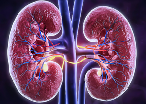 Комп’ютерна томографія | Lviv Medical Center | Львів Медікал Центр | ЛМЦ