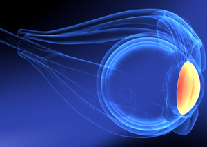 Комп’ютерна томографія | Lviv Medical Center | Львів Медікал Центр | ЛМЦ