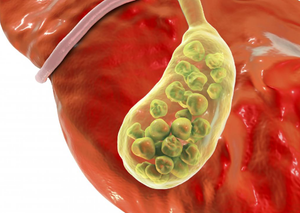 Ультразвукова діагностика | Lviv Medical Center | Львів Медікал Центр | ЛМЦ Ультразвукова діагностика | Lviv Medical Center | Львів Медікал Центр | ЛМЦ