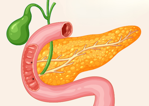 Ультразвукова діагностика | Lviv Medical Center | Львів Медікал Центр | ЛМЦ Ультразвукова діагностика | Lviv Medical Center | Львів Медікал Центр | ЛМЦ