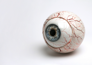 Ультразвукова діагностика | Lviv Medical Center | Львів Медікал Центр | ЛМЦ Ультразвукова діагностика | Lviv Medical Center | Львів Медікал Центр | ЛМЦ