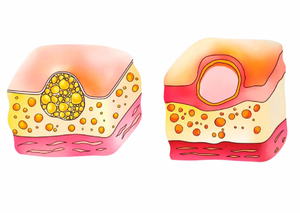 Ультразвукова діагностика | Lviv Medical Center | Львів Медікал Центр | ЛМЦ Ультразвукова діагностика | Lviv Medical Center | Львів Медікал Центр | ЛМЦ