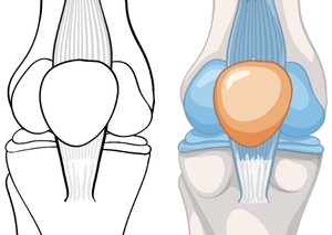 Ультразвукова діагностика | Lviv Medical Center | Львів Медікал Центр | ЛМЦ Ультразвукова діагностика | Lviv Medical Center | Львів Медікал Центр | ЛМЦ