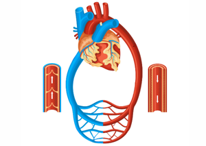 Ультразвукова діагностика | Lviv Medical Center | Львів Медікал Центр | ЛМЦ Ультразвукова діагностика | Lviv Medical Center | Львів Медікал Центр | ЛМЦ