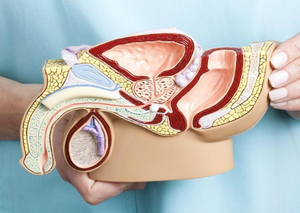 Ультразвукова діагностика | Lviv Medical Center | Львів Медікал Центр | ЛМЦ Ультразвукова діагностика | Lviv Medical Center | Львів Медікал Центр | ЛМЦ