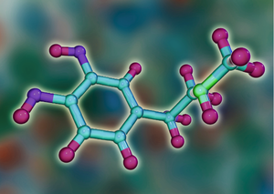 Лабораторні дослідження | Lviv Medical Center | Львів Медікал Центр | ЛМЦ