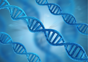 Лабораторні дослідження | Lviv Medical Center | Львів Медікал Центр | ЛМЦ